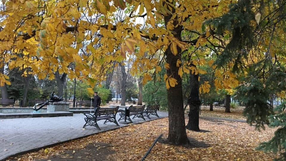Саратовцев ждет чуть более теплая среда