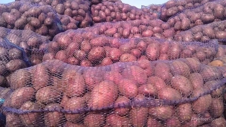 Саратовцев приглашают на последние ярмарки октября