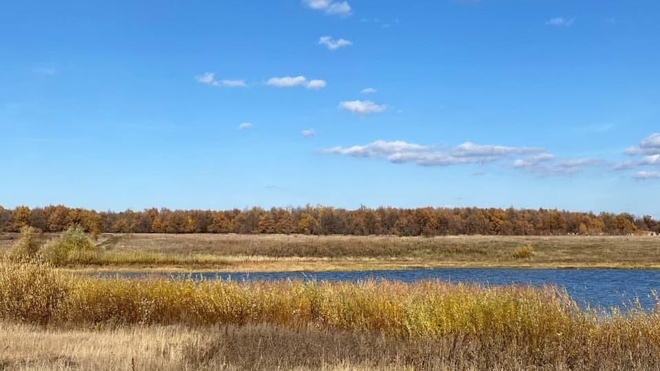 Синоптики обещают саратовцам прохладный день без дождя