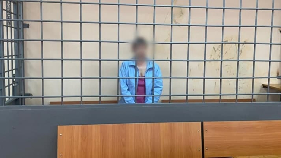 На Большой Садовой жена убила мужа одним ударом ножа. Приговор