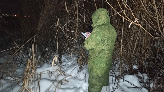 Рыбак нашел на острове череп и кости человека