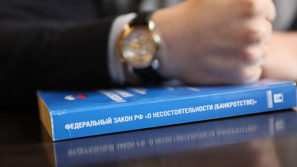 Темпы роста личных банкротств в России замедлились