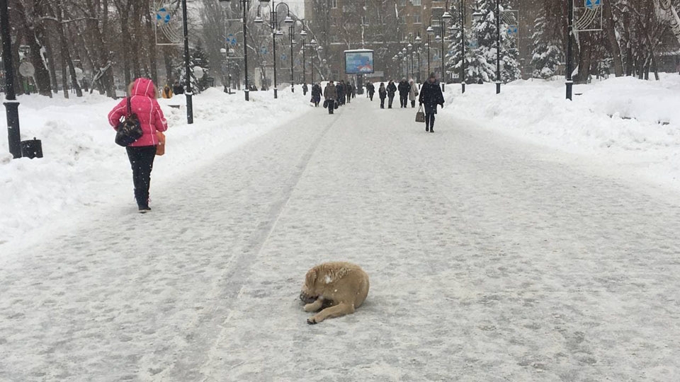 Последнее воскресенье января будет пасмурным