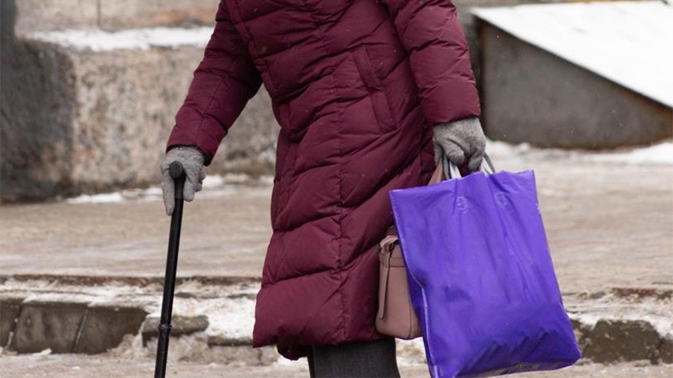"Тимуровцы" помогли пенсионерке донести продукты и украли кошелек