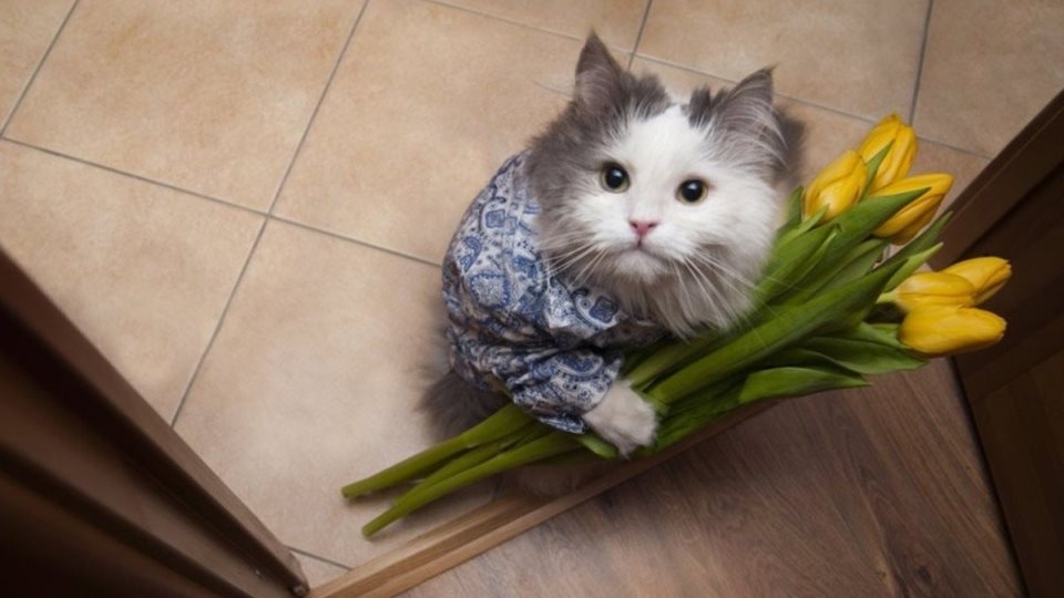 Сегодня весь мир отмечает Международный женский день