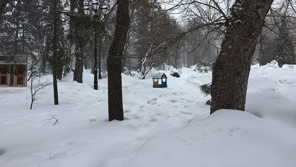 Саратовцев ждет суббота с морозом и северным ветром