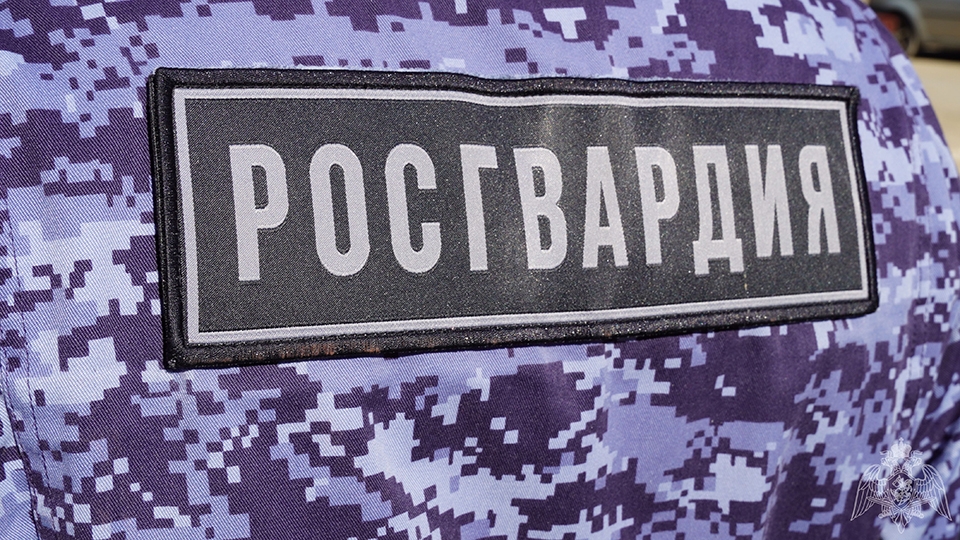 В Саратове первоклассник не смог найти дорогу домой. Ему помогли росгвардейцы