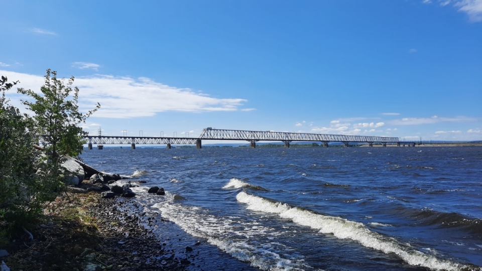 Саратовцев ждет жаркая среда