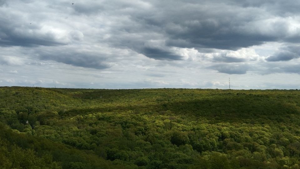 Саратовцев ждет облачное воскресенье с дождем