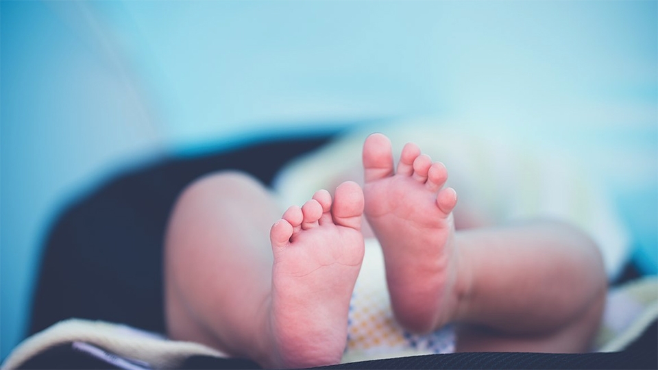 В саратовских семьях родились Арарат и Дана