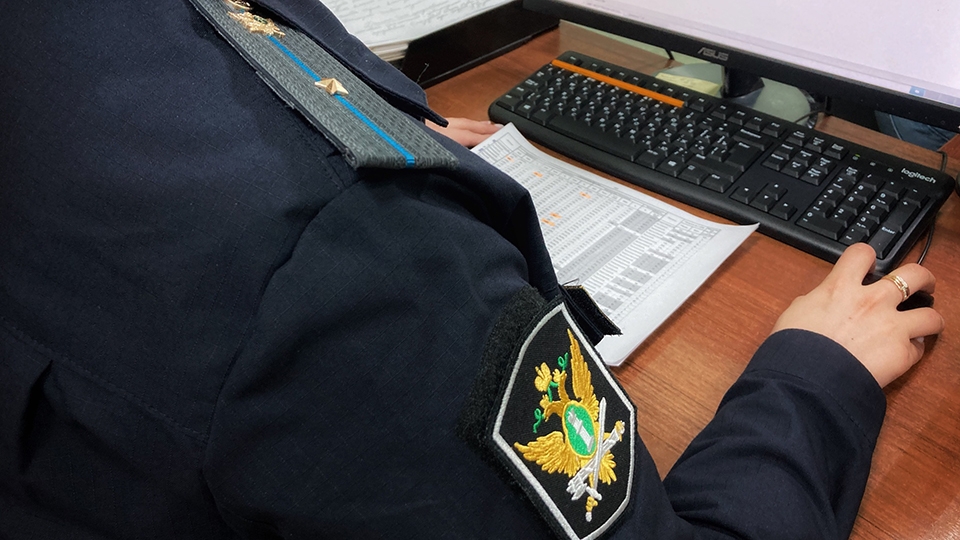 Приставы вынудили саратовскую ИП отдать гонорар рязанскому автору