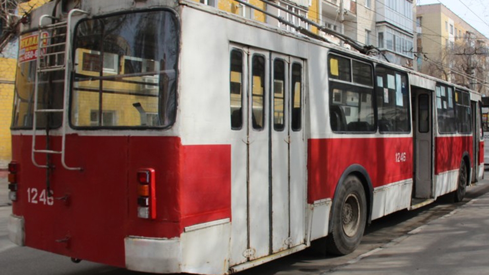 В Саратове из-за опиловки дерева встали троллейбусы двух маршрутов