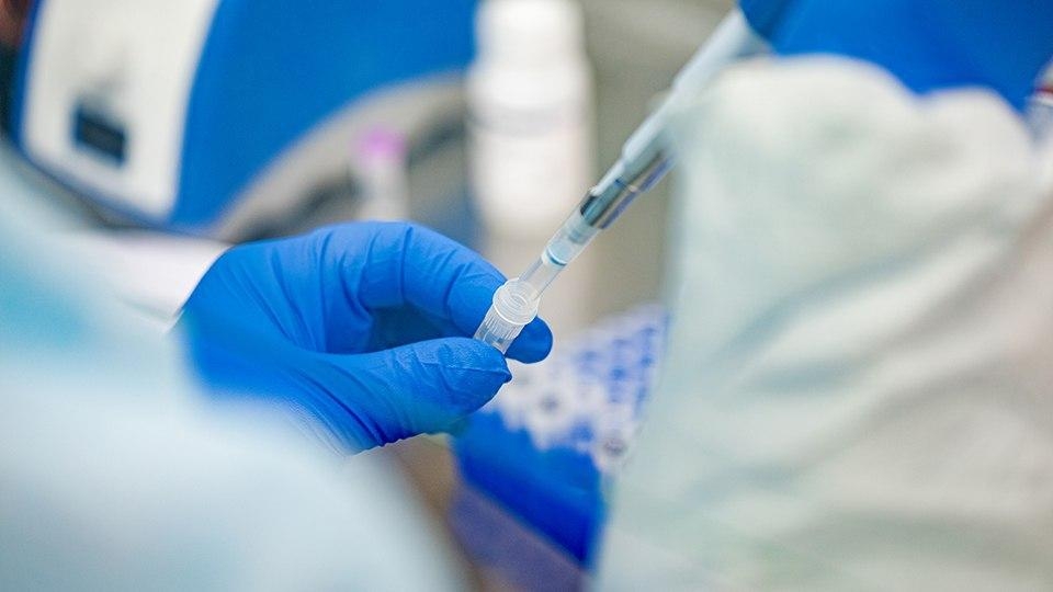 За сутки ковид подтвердили у 49 саратовцев. Семеро из них - с пневмонией