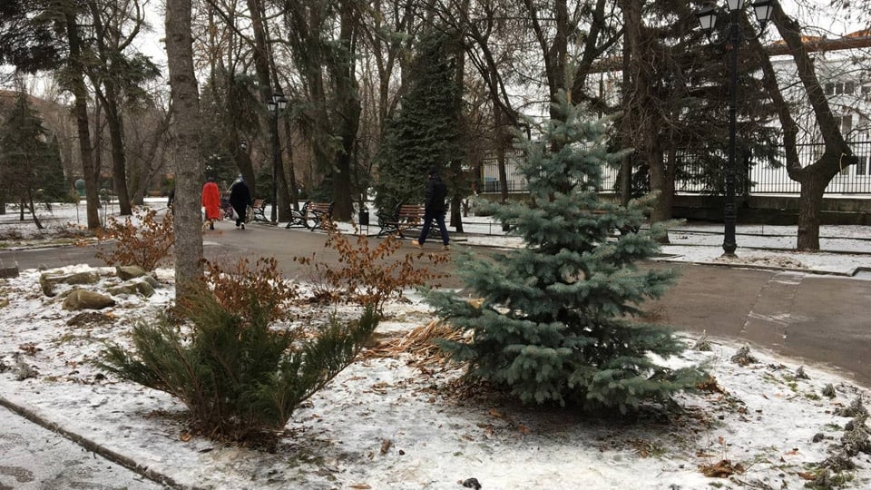 Саратовцев ждет 31 декабря с плюсом