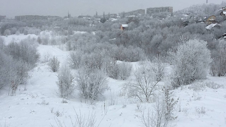 Синоптики обещают саратовцам облачную среду с морозом