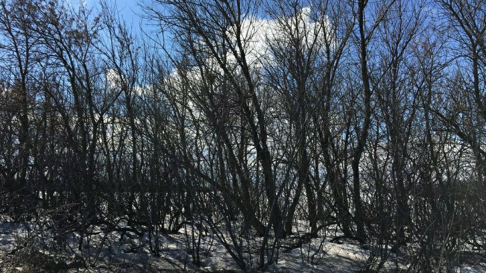 Синоптики обещают облачный понедельник с плюсом