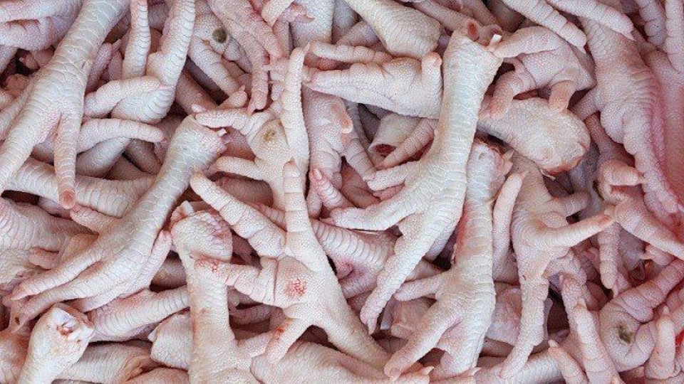 В область не пустили 42 тонны сомнительных куриных лапок из Казахстана