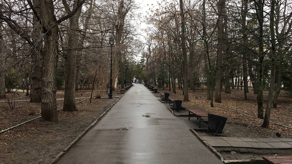 Саратовцев ждет прохладная и ветреная пятница