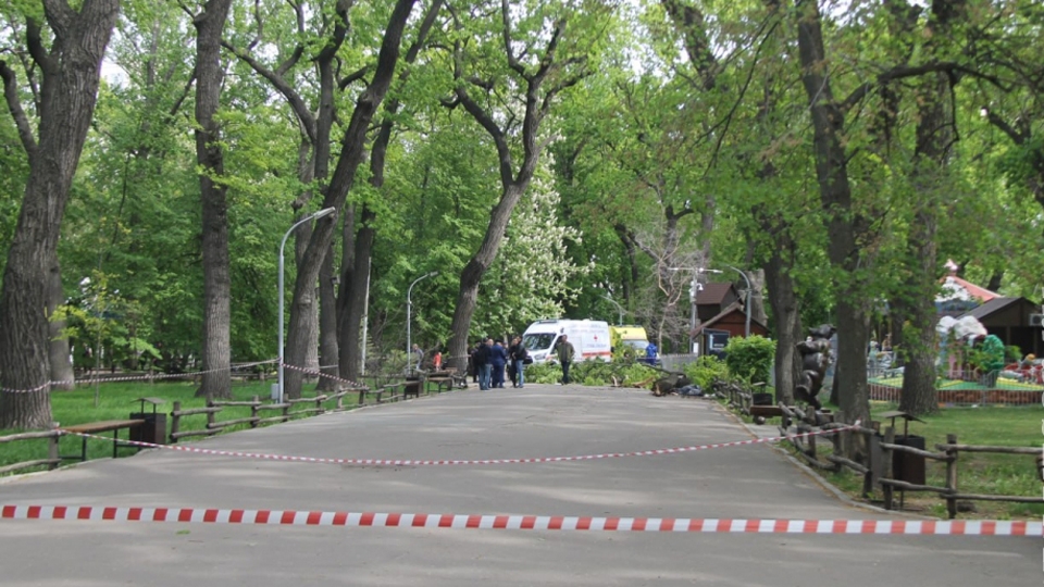 Городской парк Саратова: открытие зависит от "зеленой комиссии"