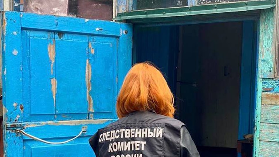 Пьяный саратовец упал в погреб и разбился насмерть