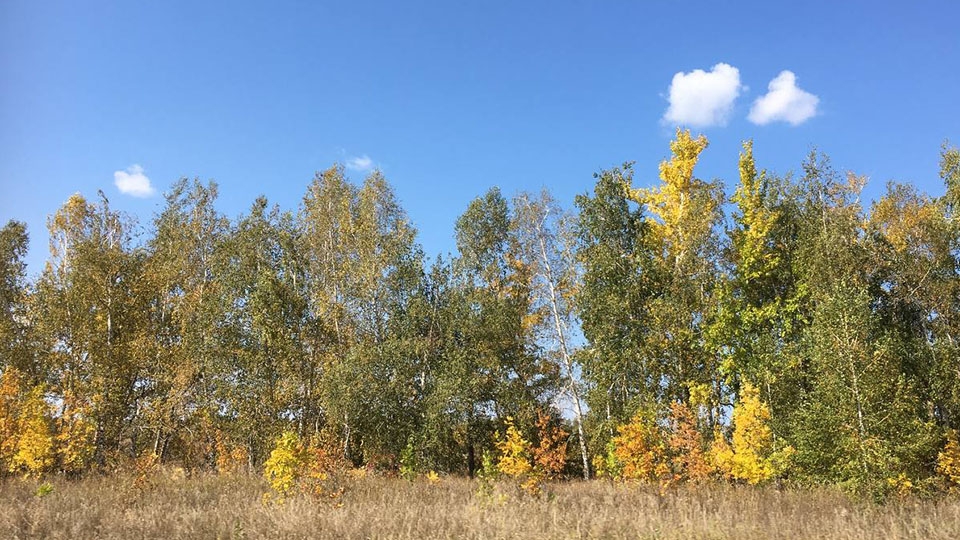 Синоптики обещают саратовцам облачный вторник