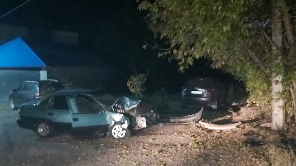 В Ленинском районе "Нексия" въехала в столб и дерево. Пассажирка в больнице