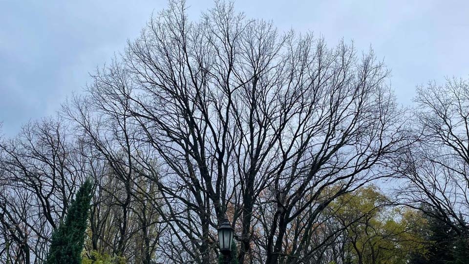 Синоптики обещают саратовцам холодное воскресенье