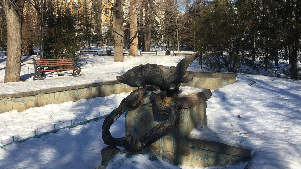 Саратовцев ждет облачная суббота без снега