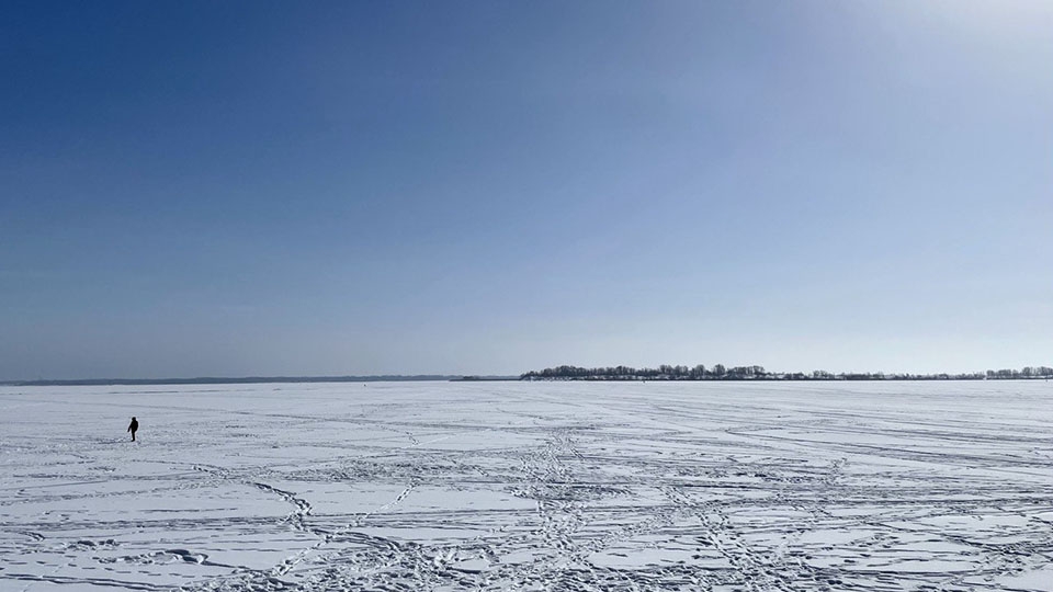 Синоптики обещают саратовцам слабый мороз и туман