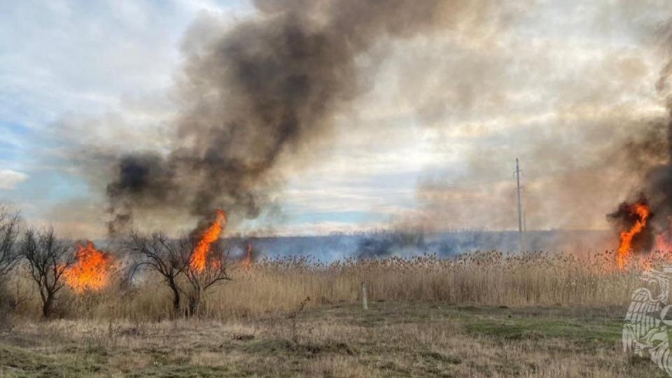 В Саратовской области начался сезон горения травы и камыша