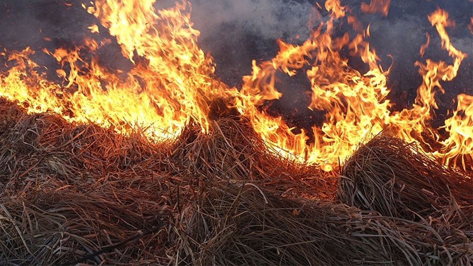 Жители Широкого пытались потушить сено сами и обожгли руки