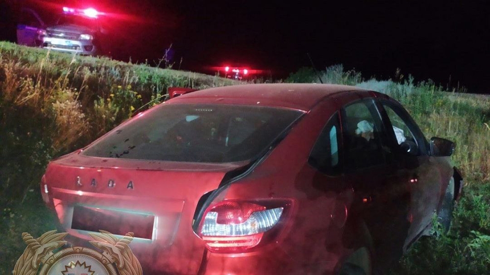 Девушка не удержала "Гранту" на ночной дороге под Татищевом