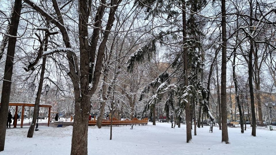 От -3º до -17º. Саратовцев ждет очередная прохладная неделя без осадков