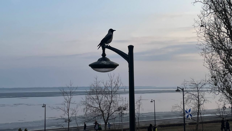 До +19°. Синоптики обещают пасмурную пятницу