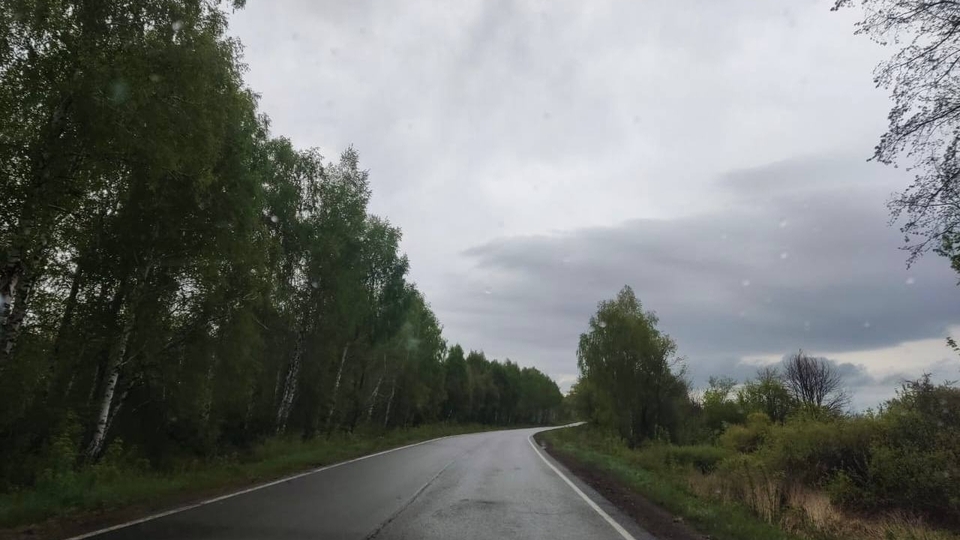 Синоптики обещают саратовцам дождливый понедельник