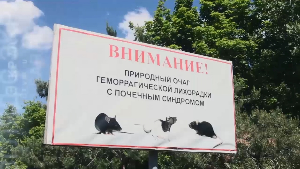 В Саратовской области 17 человек заболели мышиной лихорадкой