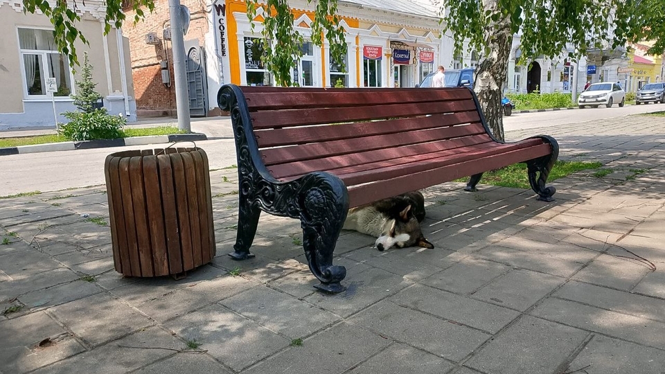Саратовцев ждет еще один жаркий понедельник