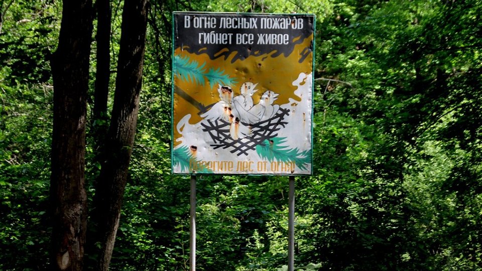 Угроза пожаров. Саратовцам вновь запретили заходить в леса
