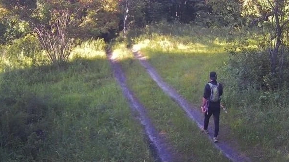 В саратовских лесах за нарушителями следят 60 фотоловушек